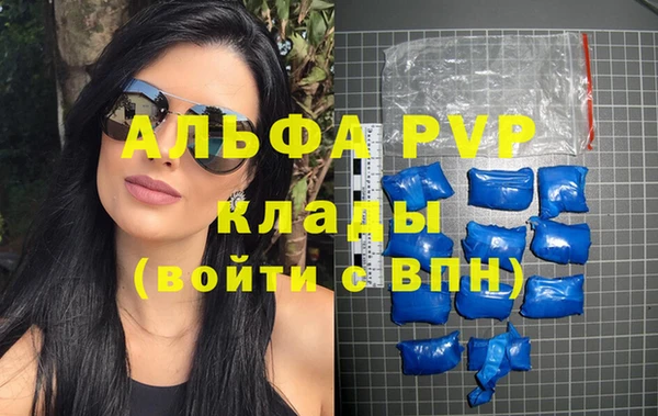 прущие грибы Волоколамск