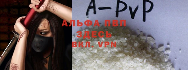 прущие грибы Волоколамск