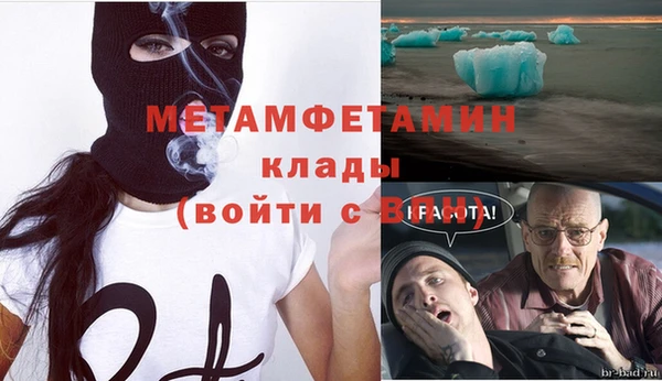 прущие грибы Волоколамск