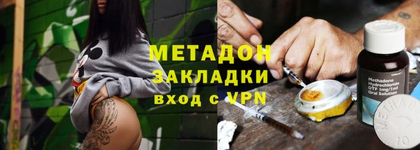 прущие грибы Волоколамск