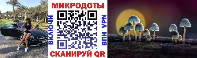 Галлюциногенные грибы Cubensis  Купить где  Дыгулыбгей 